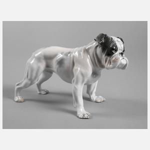 Rosenthal Englische Bulldogge