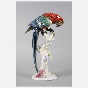 Rosenthal großer Ara