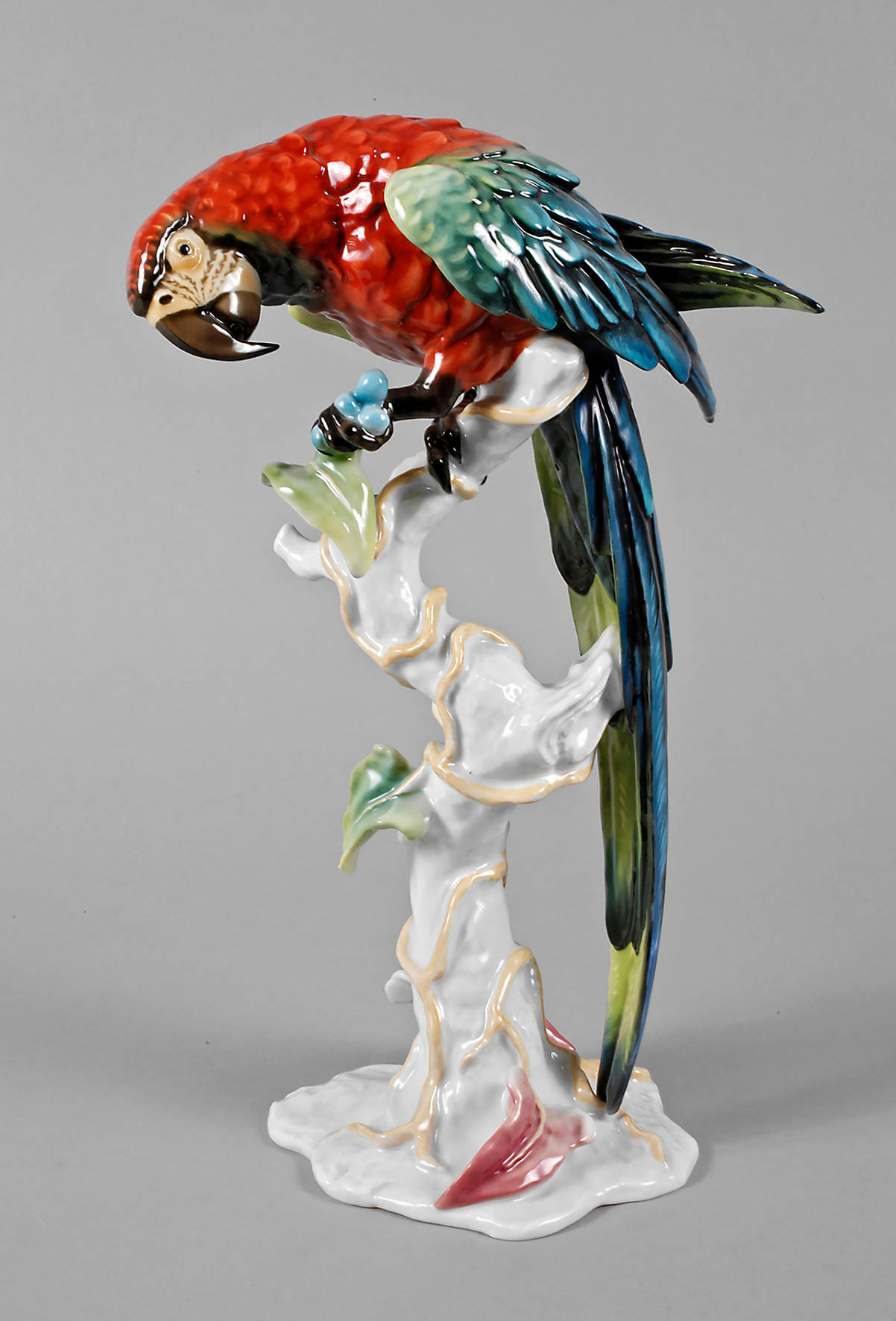 Rosenthal großer Ara