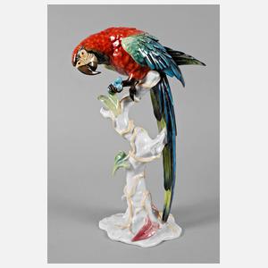 Rosenthal großer Ara