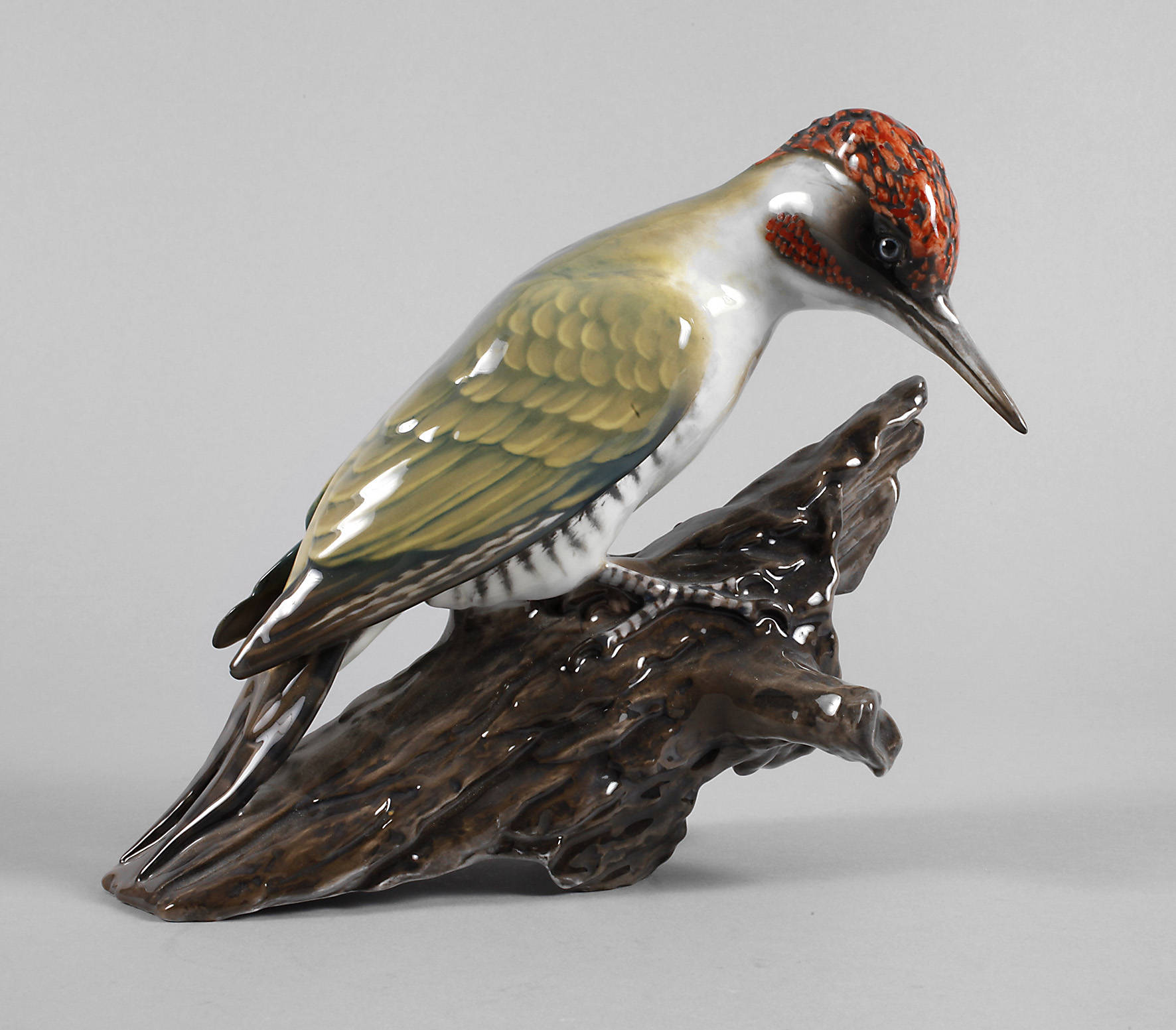 Rosenthal großer Buntspecht