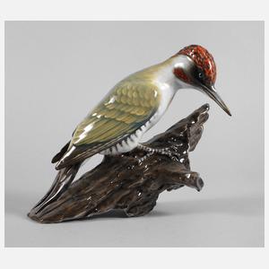 Rosenthal großer Buntspecht