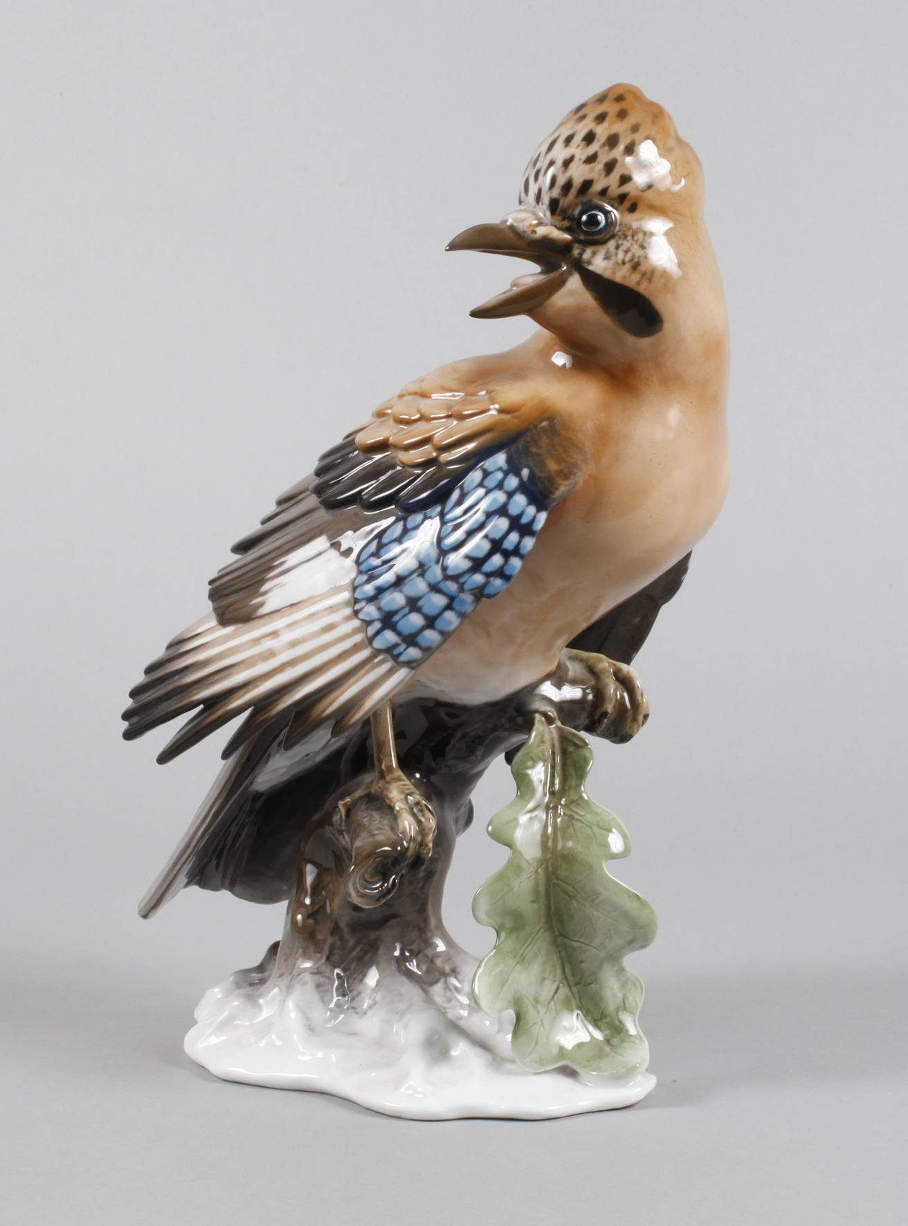 Rosenthal großer Eichelhäher