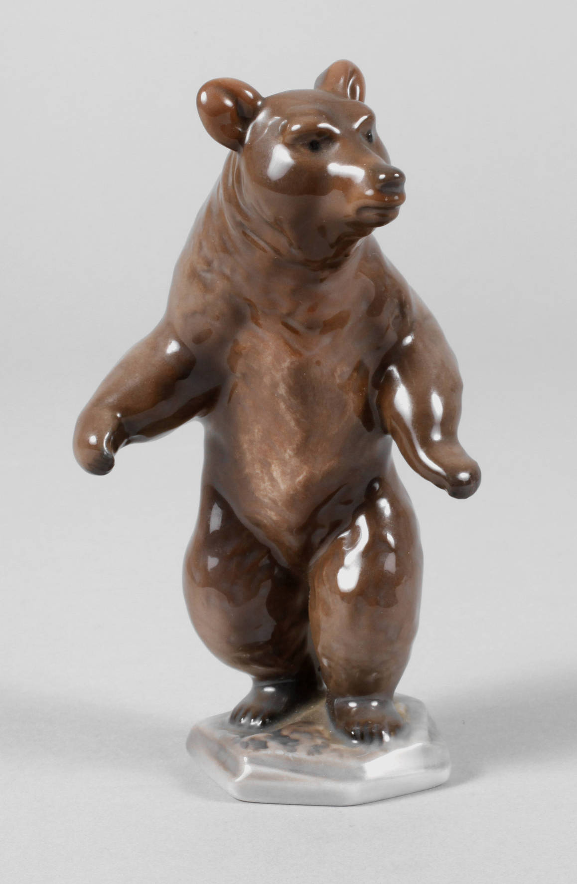 Rosenthal stehender Braunbär