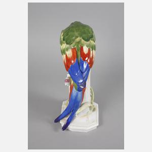 Schwarzburg Papagei mit Maiskolben