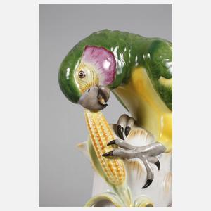 Schwarzburg Papagei mit Maiskolben
