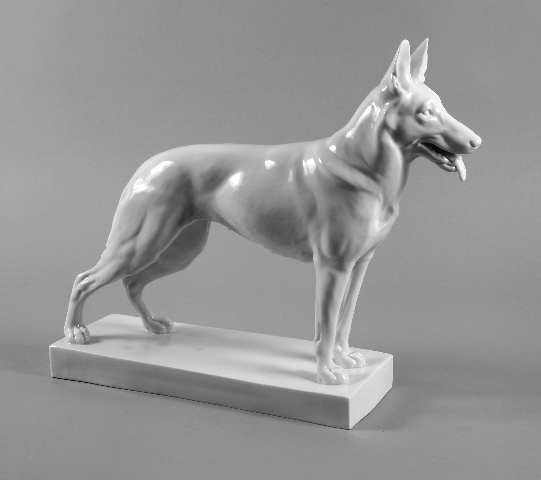 Schwarzburg Schäferhund