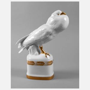 Selb Bavaria Kropftaube