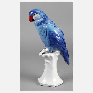 Volkstedt großer Papagei