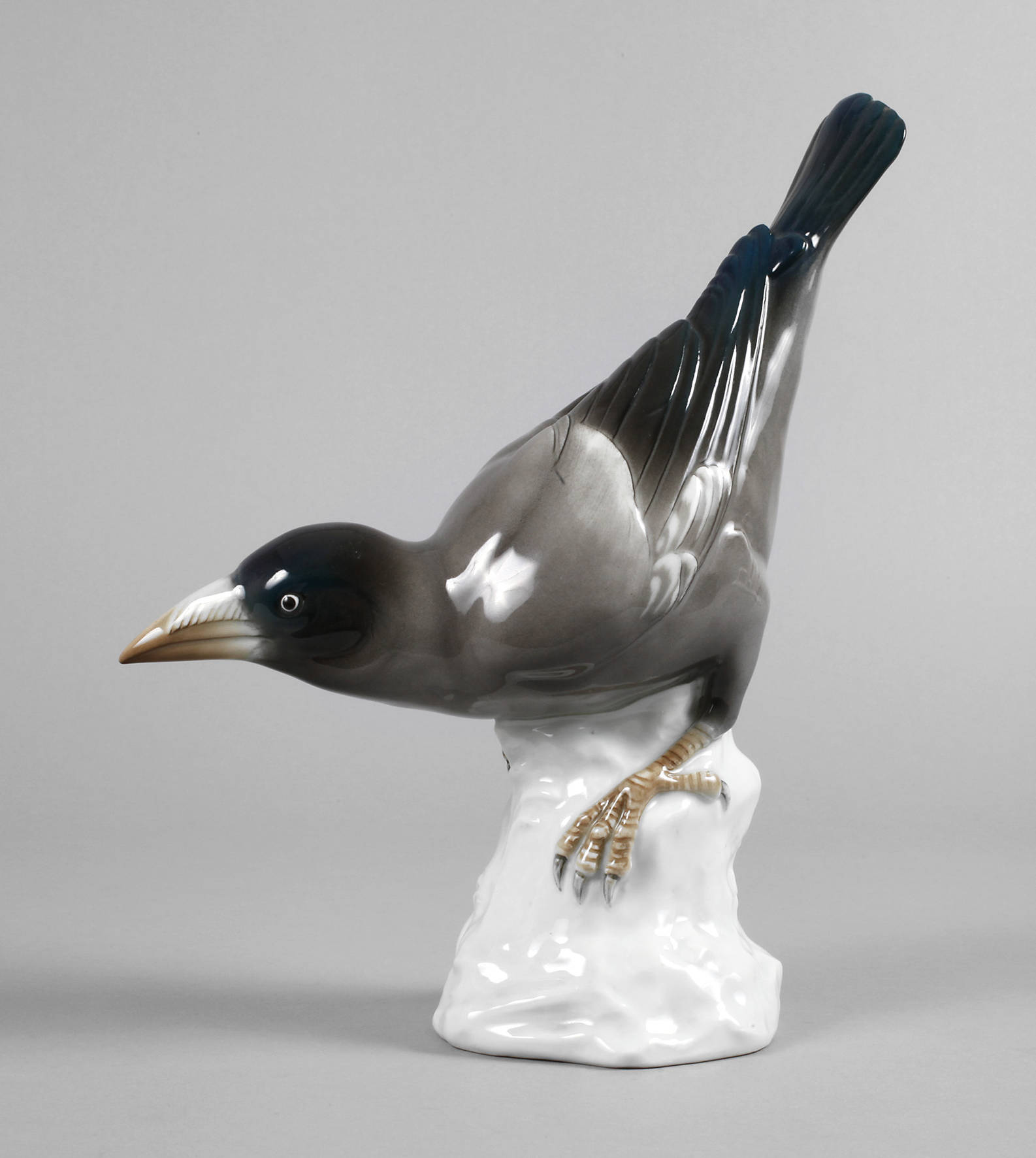 Volkstedt junger Rabe