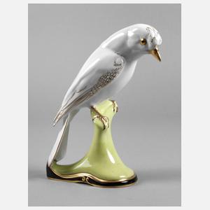 Zeh, Scherzer & Co. Eichelhäher