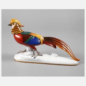 Zeh, Scherzer & Co. Fasan