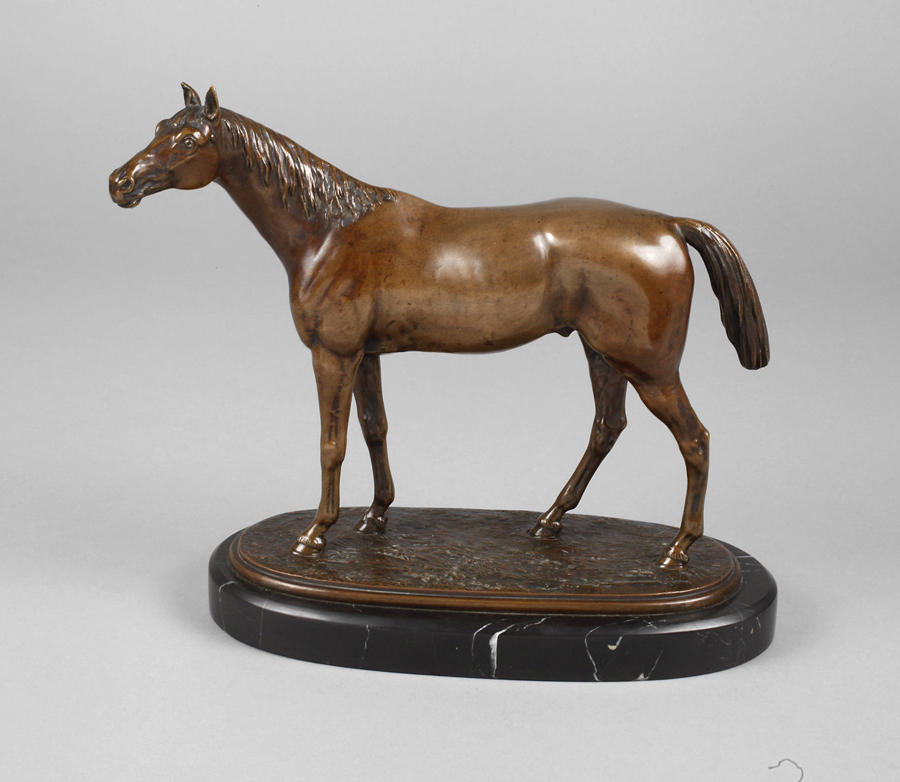 Otto Rasmussen, Vollbluthengst