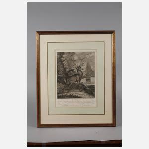 Johann Elias Ridinger, Hirschdarstellung