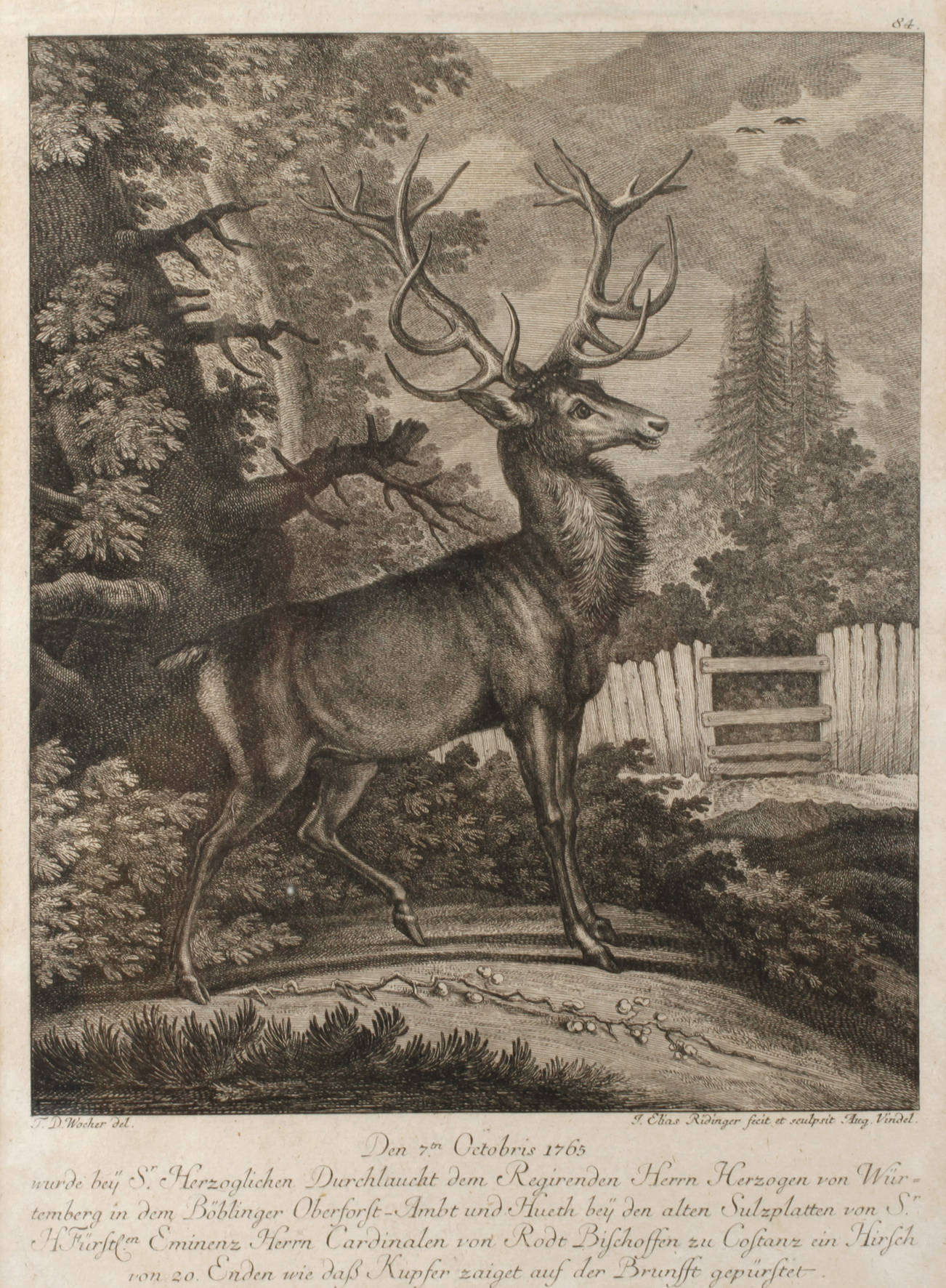 Johann Elias Ridinger, Hirschdarstellung