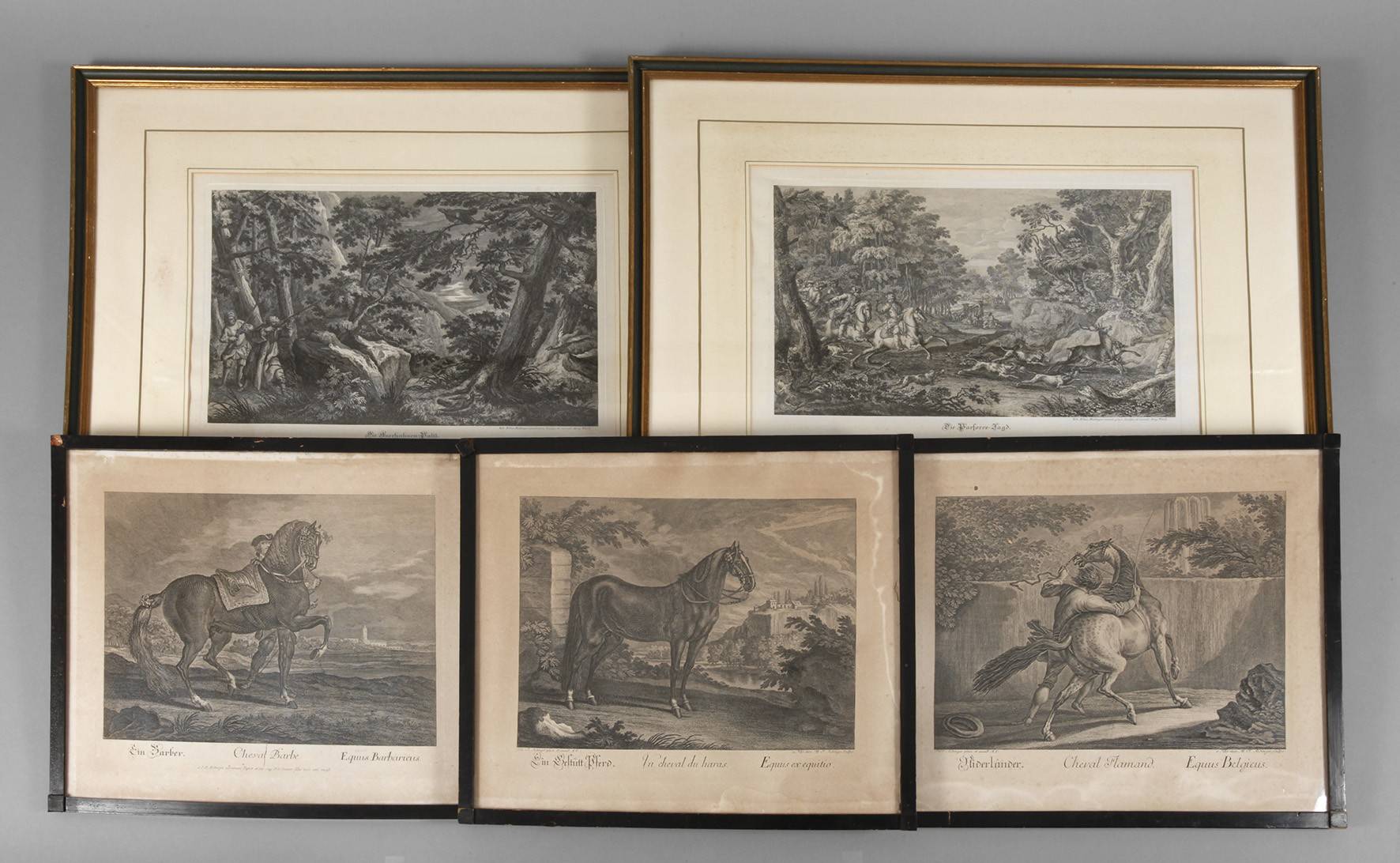 Nach Johann Elias Ridinger, Konvolut Grafik