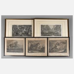 Nach Johann Elias Ridinger, Konvolut Grafik