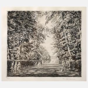 Dr. Otto Quante, Spaziergänger im Park