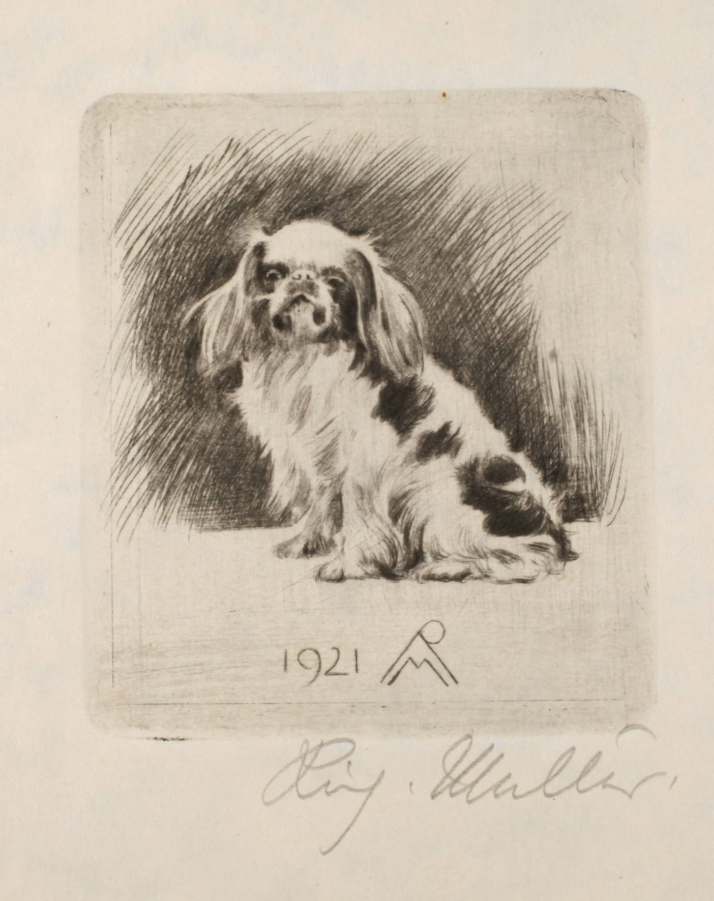 Prof. Richard Müller, ”Pekinese sitzend”