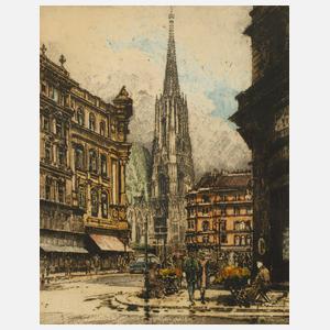 Robert Kasimir, Stephansdom in Wien