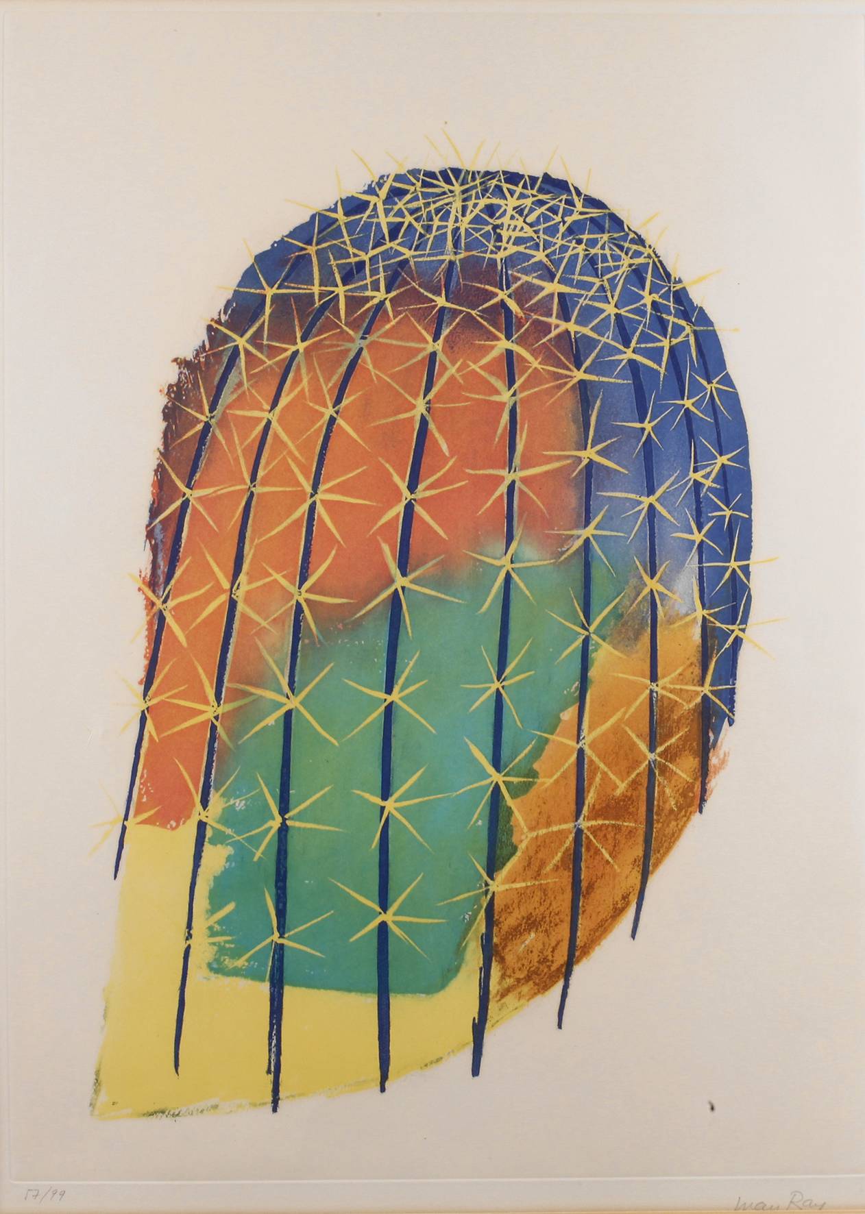 Man Ray, ”Cactus”