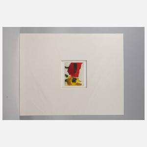 Prof. Klaus Fußmann, Mohnblumen