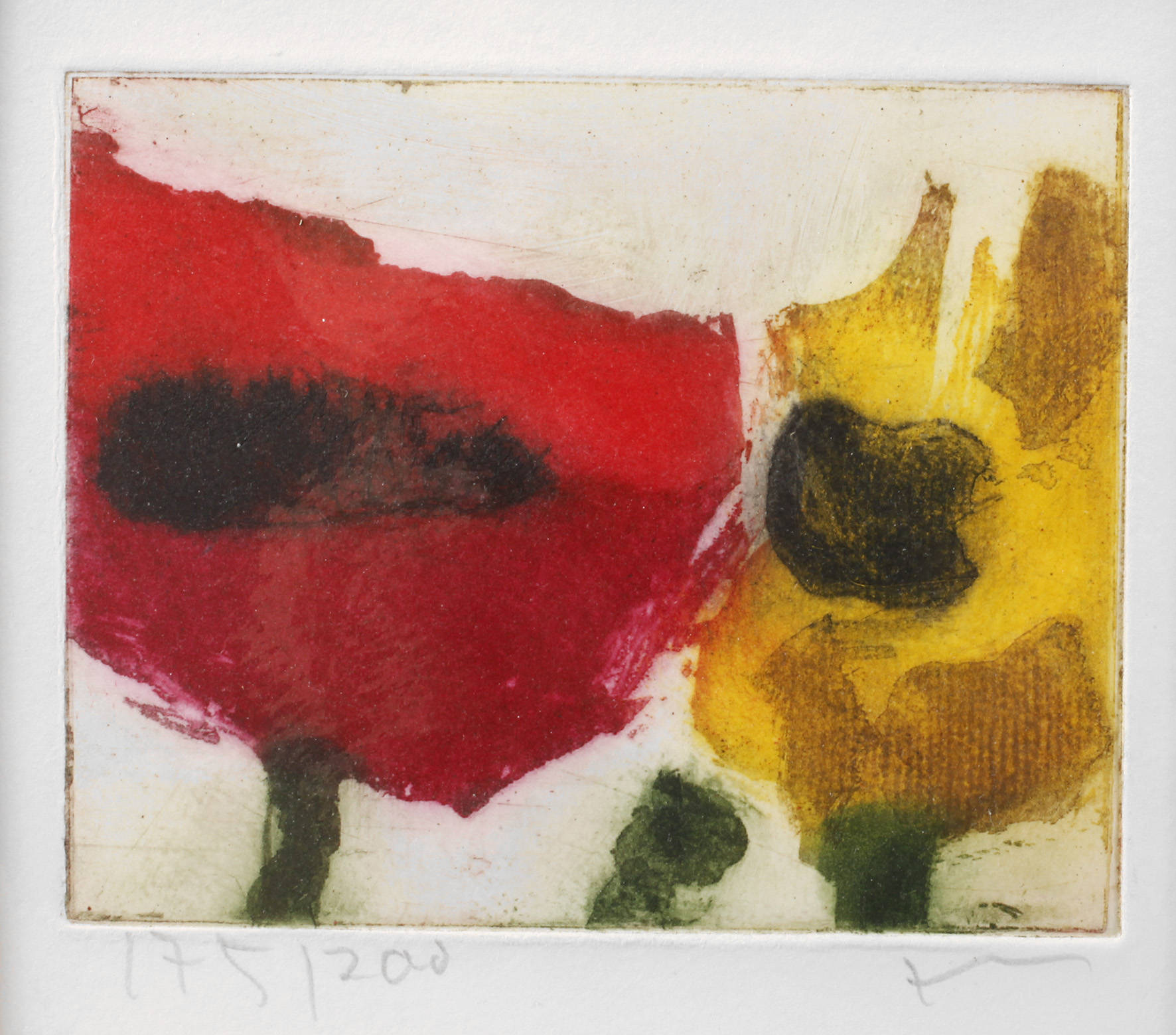 Prof. Klaus Fußmann, Mohnblumen