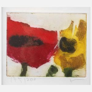 Prof. Klaus Fußmann, Mohnblumen