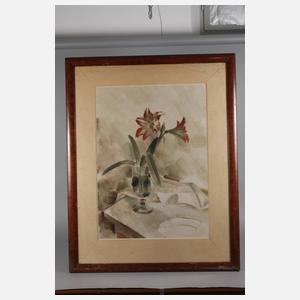 Prof. Arno Drescher, Amaryllis im Glas