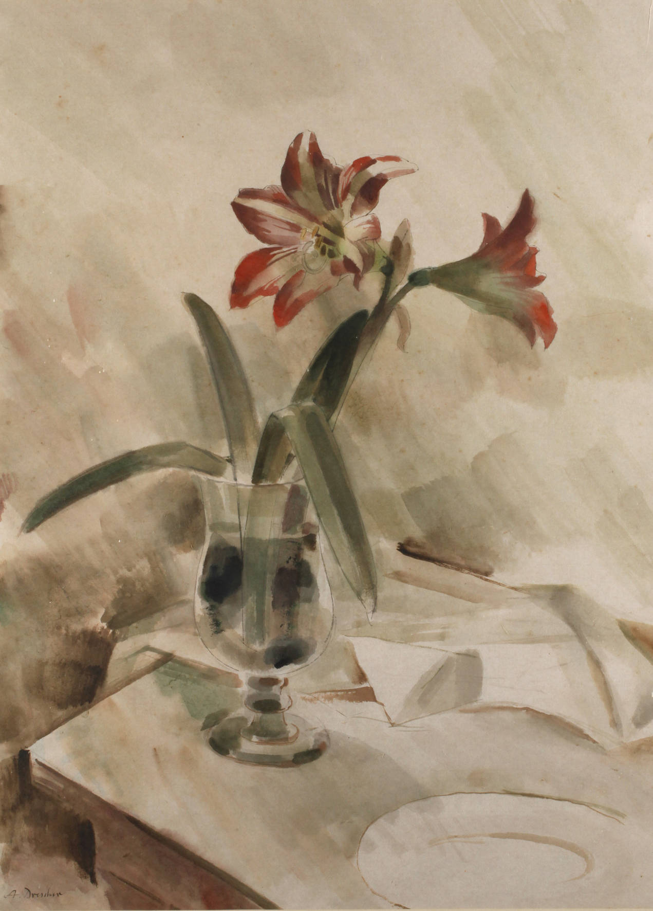 Prof. Arno Drescher, Amaryllis im Glas