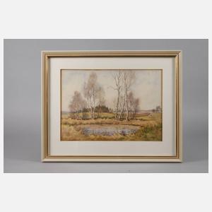 Siegfried Hauffe, Birken am Weiher