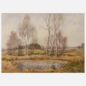Siegfried Hauffe, Birken am Weiher