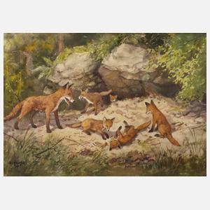 Siegfried Hauffe, Fuchsfamilie