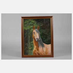 Siegfried Hauffe, Pferdeportrait