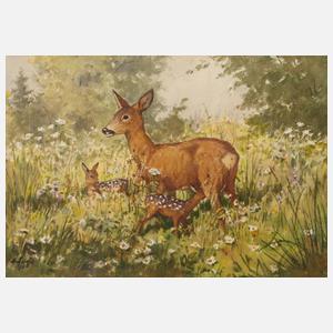 Siegfried Hauffe, Reh mit Riken