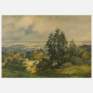 Siegfried Hauffe, Sommer im Vogtland