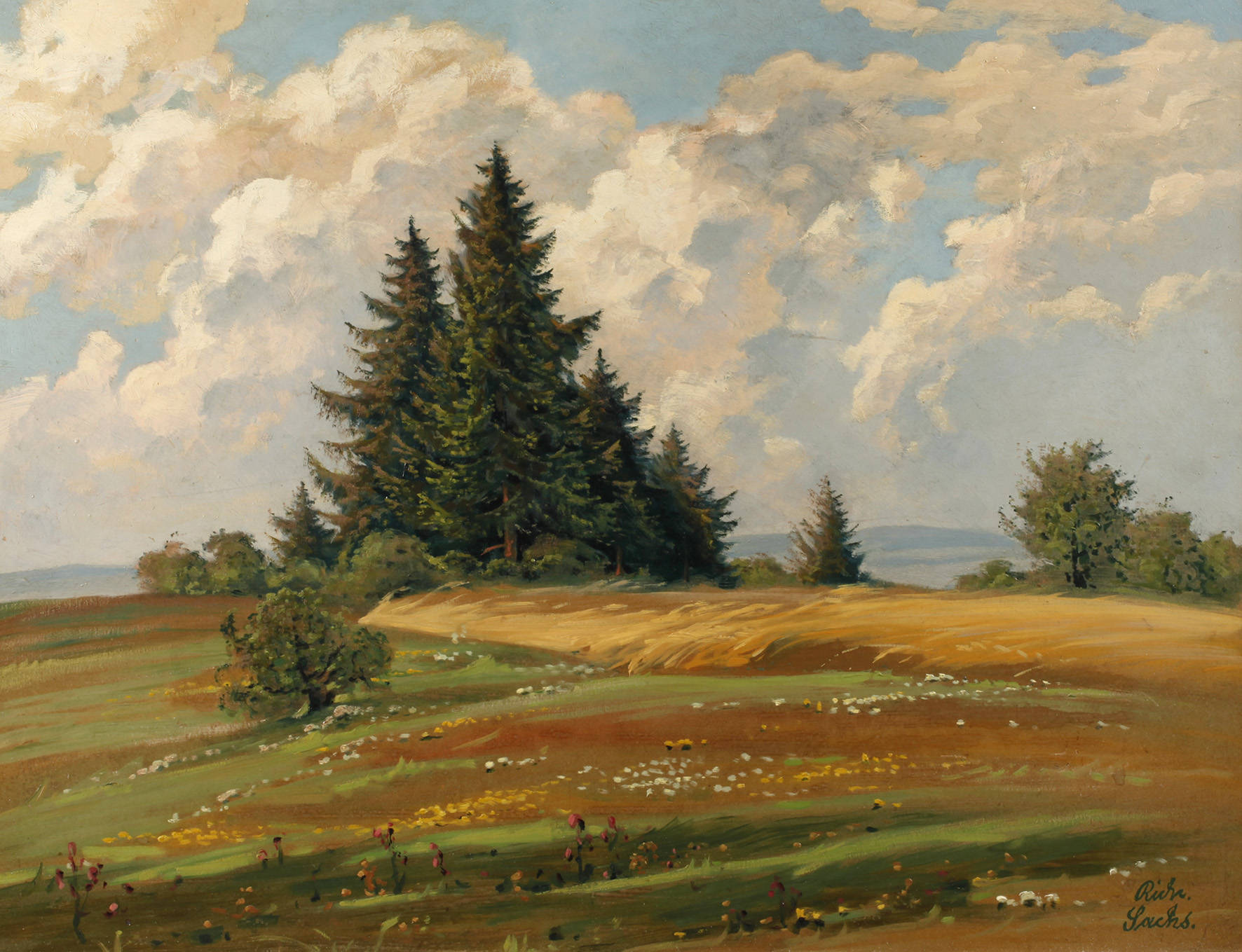 Richard Sachs, Sommer im Vogtland