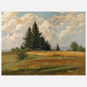 Richard Sachs, Sommer im Vogtland