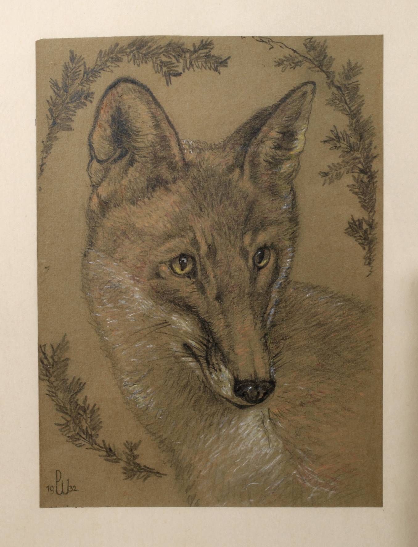 Paul Weber, Fuchsportrait