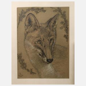 Paul Weber, Fuchsportrait