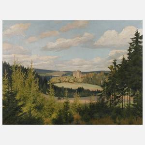 Prof. Fiedrich Rudolf Zenker, Blick auf die Burgsteinruine