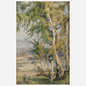 Prof. Fiedrich Rudolf Zenker, Blick nach St. Clara