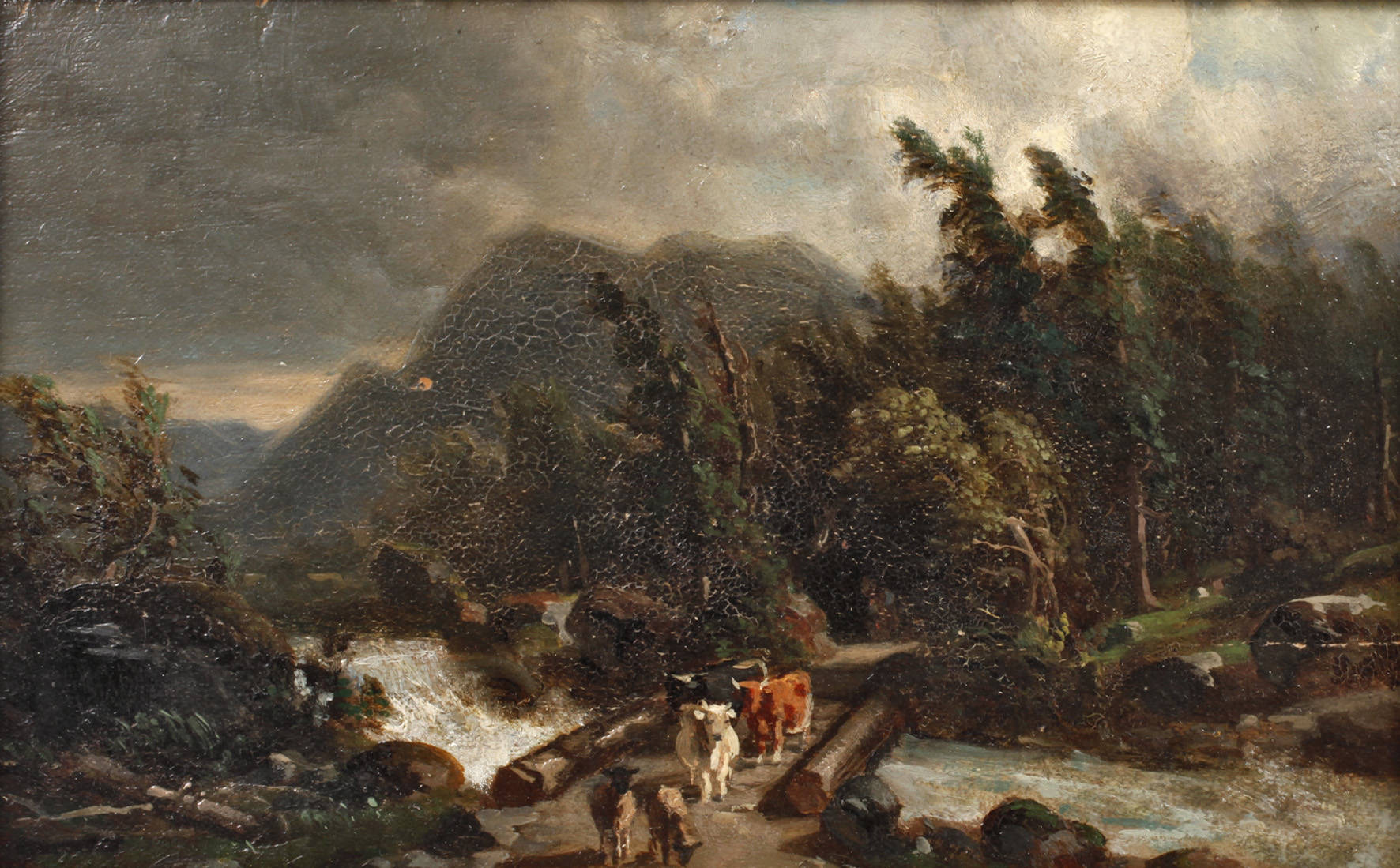 Viehherde im Gebirge