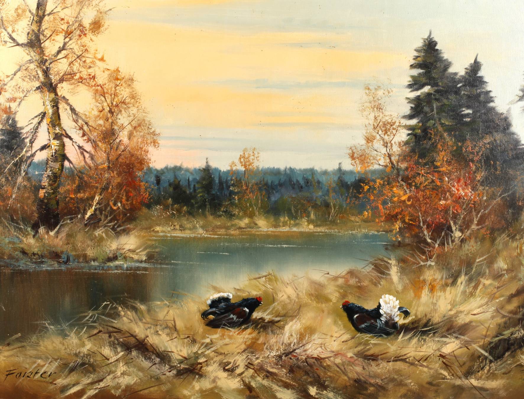 Forster, Balzende Auerhähne