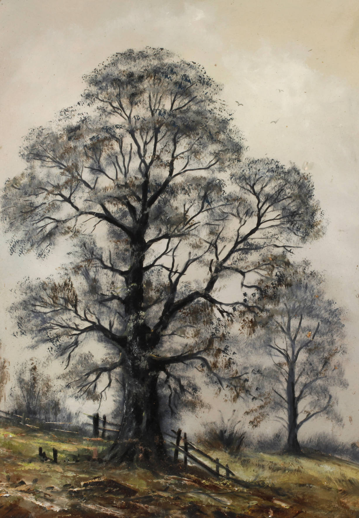 Alexander Koch, ”Alter Baum”
