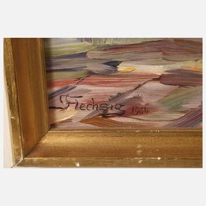 Flechsig, Sommerlicher Waldweg