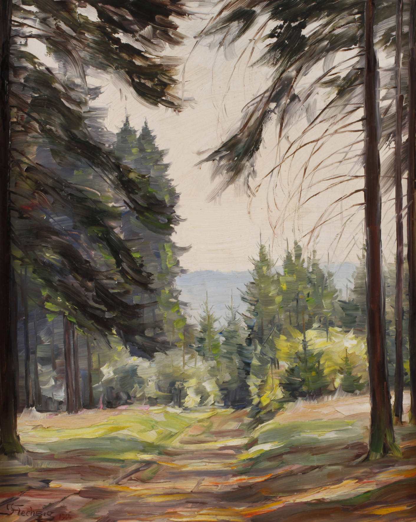 Flechsig, Sommerlicher Waldweg