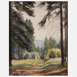 Flechsig, Sommerlicher Waldweg