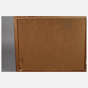 Rheinansicht mit der Burg Pfalzgrafenstein