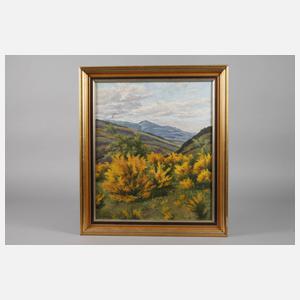 Heinrich Häring, Schwarzwaldlandschaft Ginster